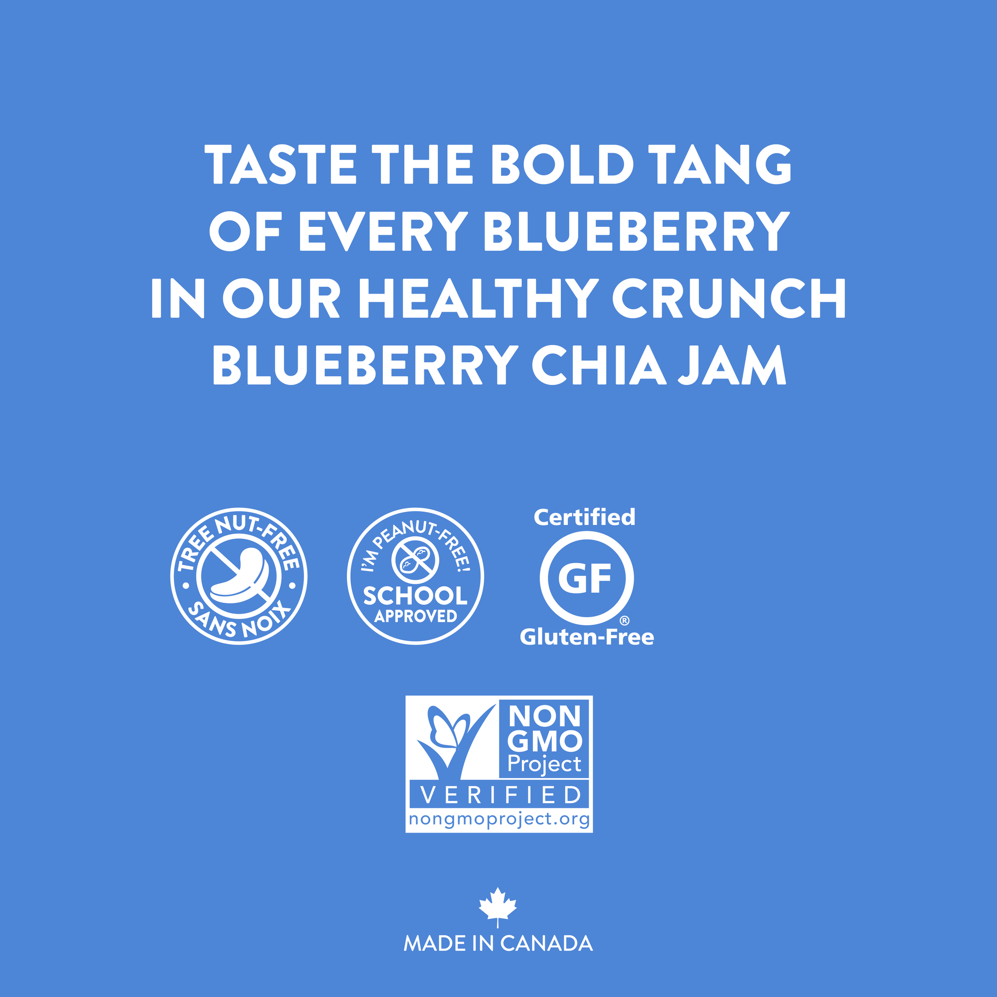 Blueberry Chia Jam