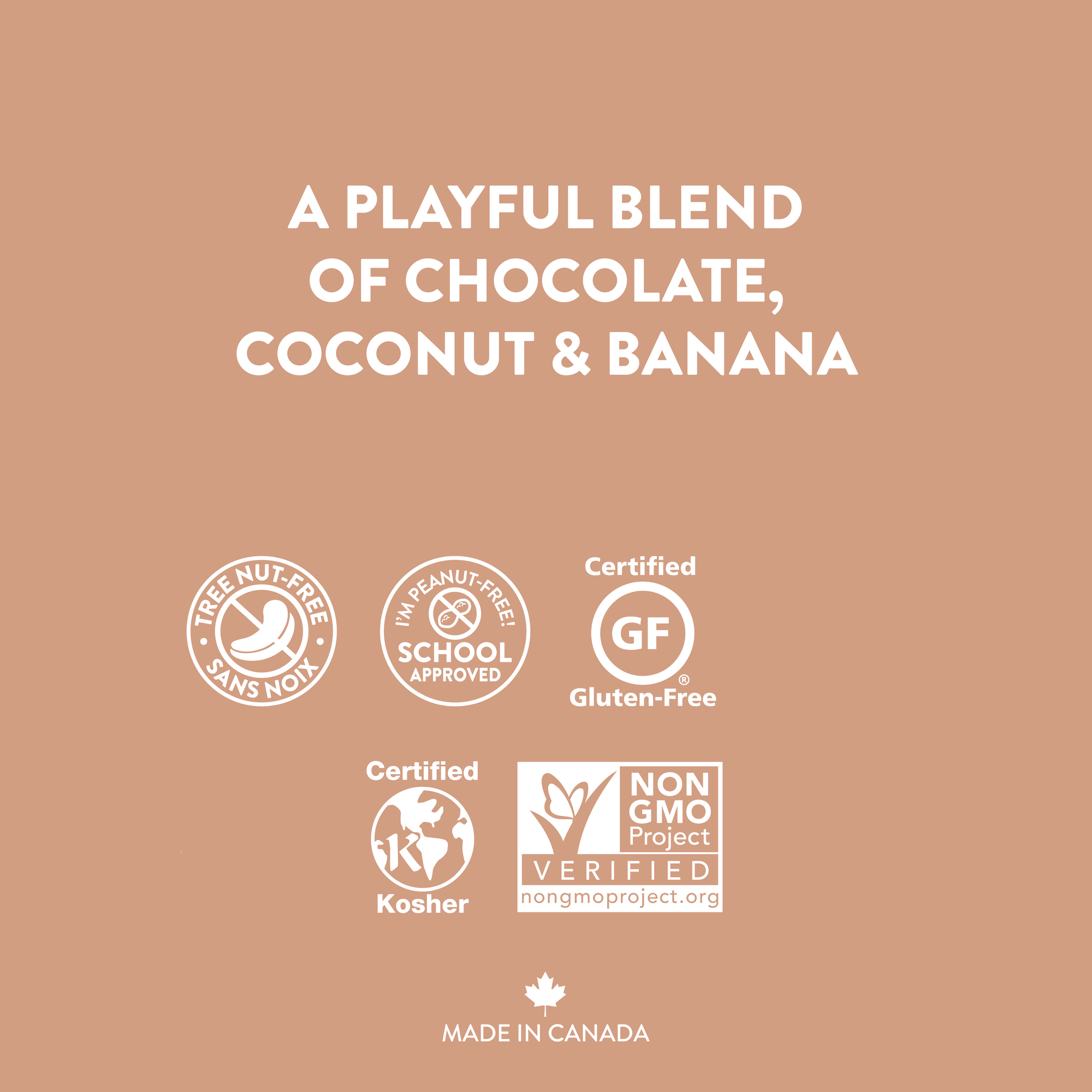 Monkey Business Coconut Chips