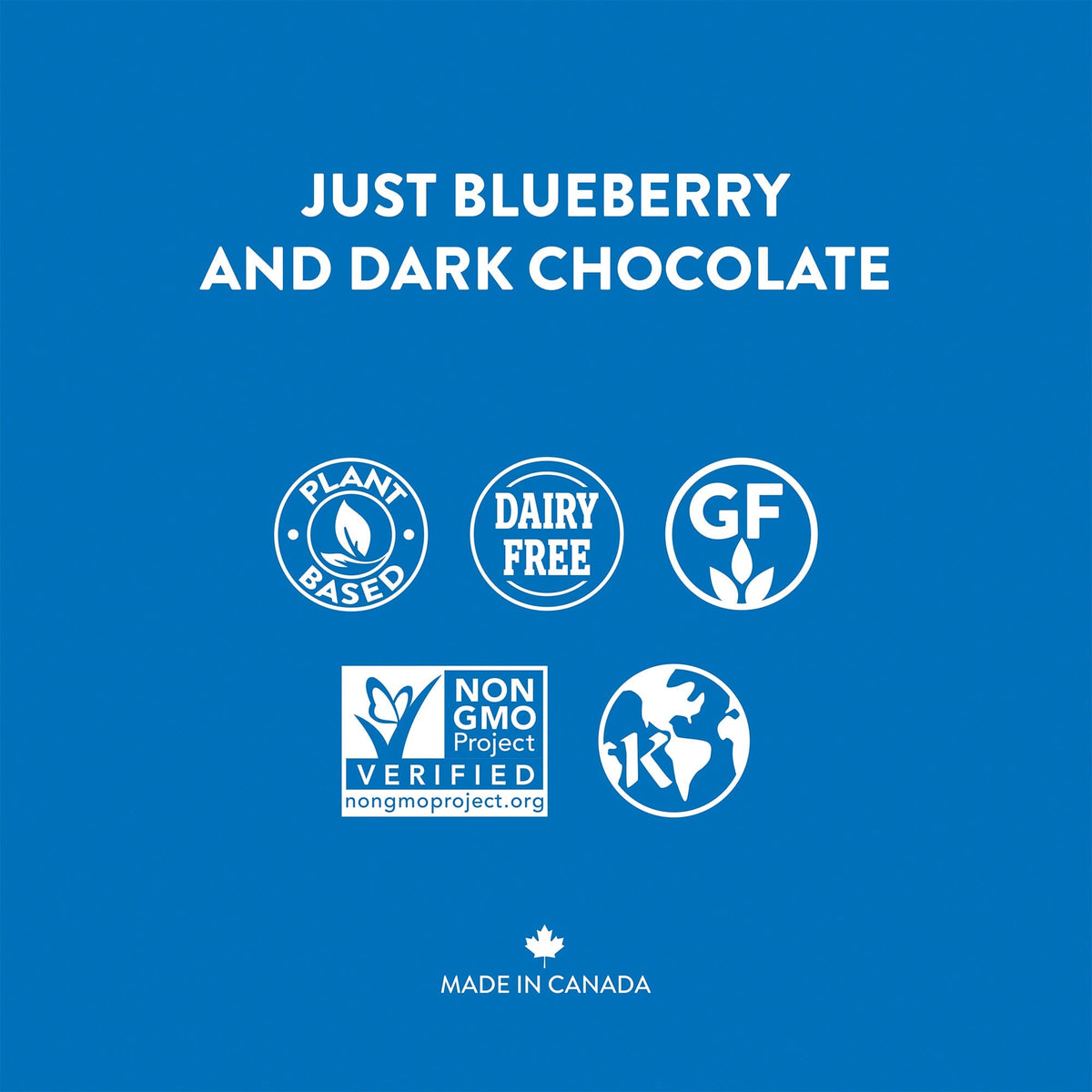 Blueberry Dark Chocolate Superfoods Single Serve