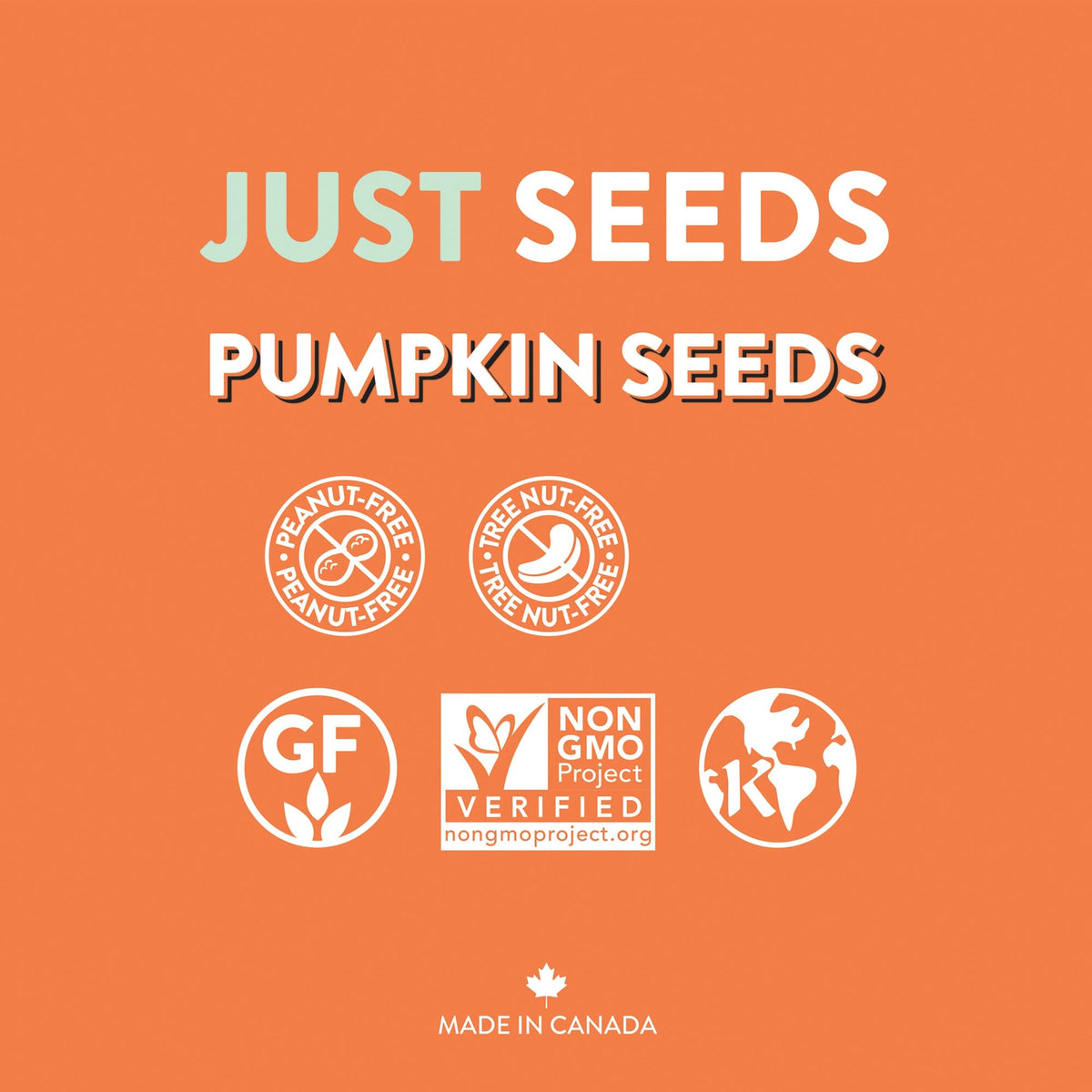 Pumpkin Seeds - Just Seeds