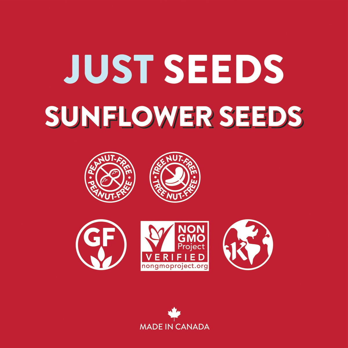 Sunflower Seeds - Just Seeds